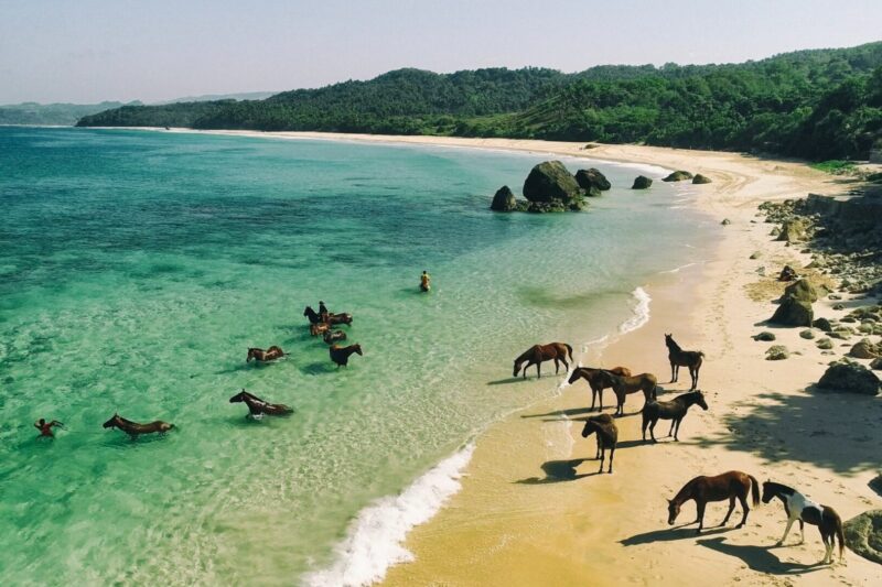 Pulau Sumba, Keindahan Alam dan Budaya yang Autentik Di Indonesia